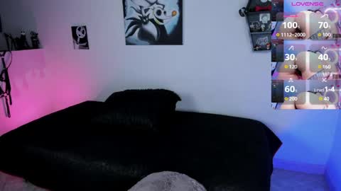 CattNamy online show from 3, 4, 2026