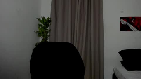 Catty online show from 12, 1, 2026