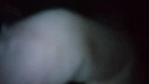 Snapshot of cedricstjacques0 chatting on 13, 2, 2026 Outdoor Guy online show from 13, 2, 2026