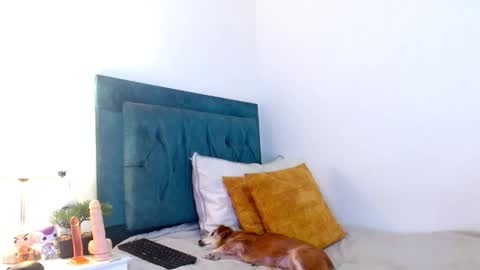 Cedrixx10 online show from 11, 2, 2026