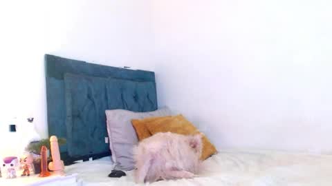 Cedrixx10 online show from 4, 4, 2026