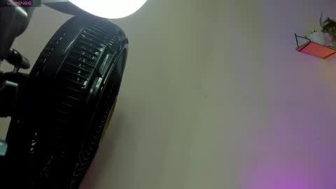 Snapshot of celene_rosejs chatting on 6, 4, 2026 celene_rosejs online show from 6, 4, 2026