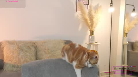 Snapshot of celeste_1220 chatting on 25, 6, 2026 Alice online show from 25, 6, 2026