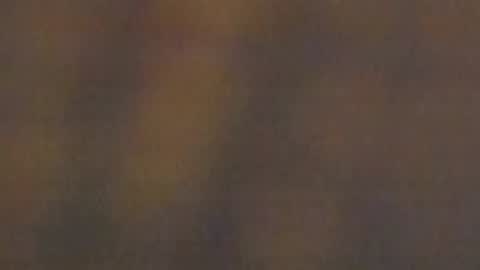 celestepink_jl online show from 10, 11, 2025