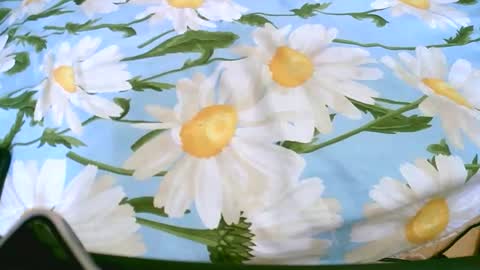 cerminah online show from 19, 11, 2025