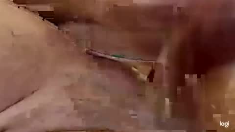 cfnmkinky28 online show from 1, 1, 2025