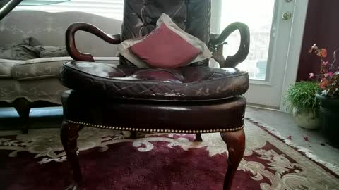 chad online show from 3, 12, 2024