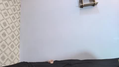 Snapshot of chantal_taylor_ chatting on 10, 3, 2025 Raquel  online show from 10, 3, 2025