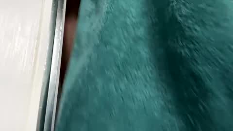 Gary online show from 29, 11, 2025