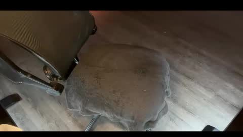 Snapshot of charlietango_live chatting on 12, 11, 2025 CharlieTango Live online show from 12, 11, 2025