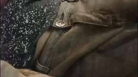 Boogog online show from 15, 9, 2025