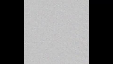 Charlotte online show from 9, 1, 2025