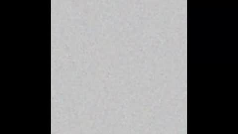 Charlotte online show from 14, 2, 2025