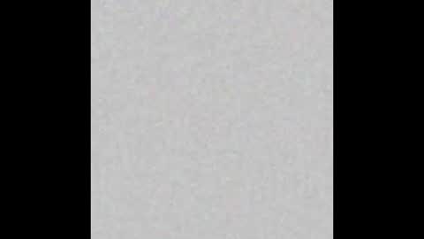 Charlotte online show from 5, 3, 2025