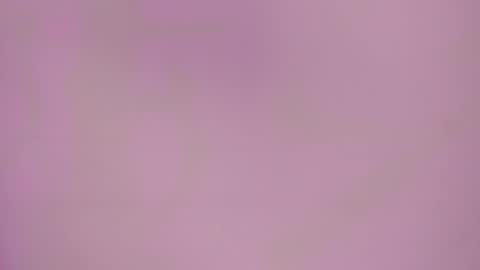 Charlotte Icee online show from 17, 2, 2026