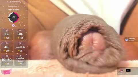 Char online show from 25, 2, 2025