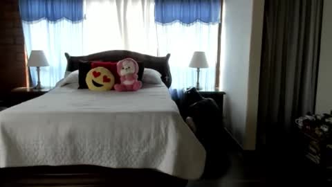 Charlotte online show from 12, 2, 2026