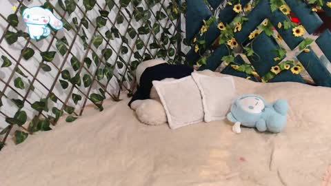 charly_evans60 online show from 19, 2, 2025