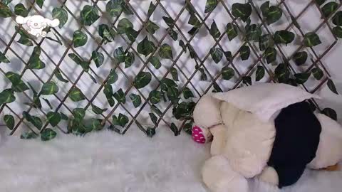 charly_evans60 online show from 25, 2, 2025