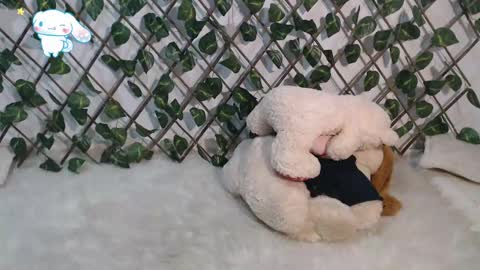 charly_evans60 online show from 2, 3, 2025