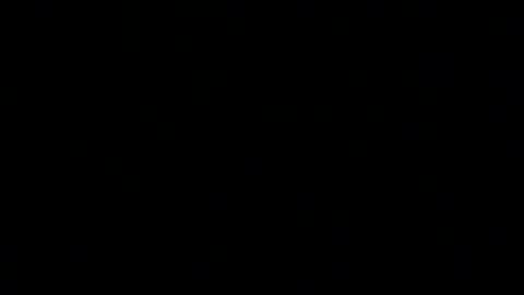 NY Daddy online show from 20, 10, 2025