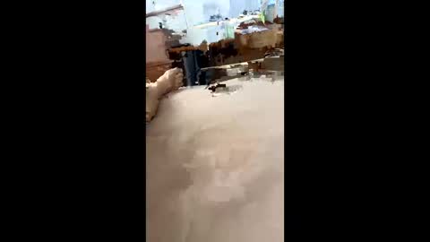 chasejase20333 online show from 16, 12, 2024