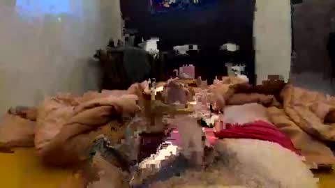 chasejase20333 online show from 2, 2, 2026