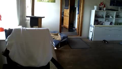 chefben666 online show from 11, 4, 2026