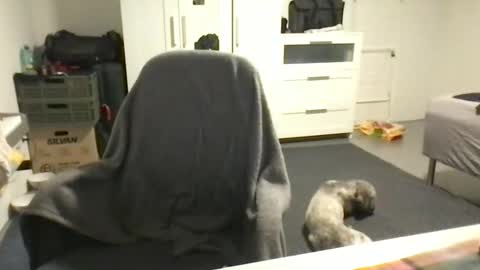 Snapshot of cheftoti chatting on 16, 2, 2025 cheftoti online show from 16, 2, 2025