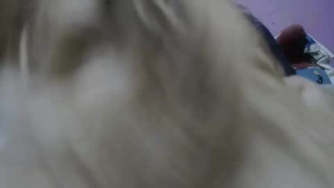 Snapshot of cheliafun chatting on 17, 11, 2025 Cheila online show from 17, 11, 2025