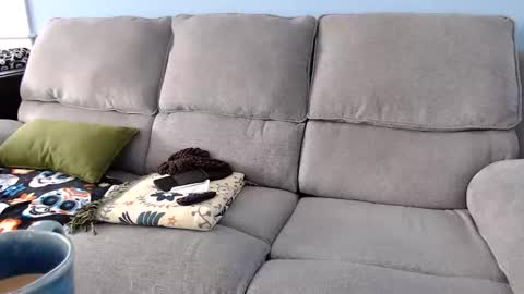 Chelsea online show from 2, 2, 2026