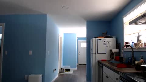 Chelsea online show from 24, 3, 2026