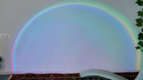 Bella online show from 11, 2, 2026