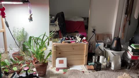 Snapshot of chiloschista chatting on 3, 2, 2025 judith online show from 3, 2, 2025