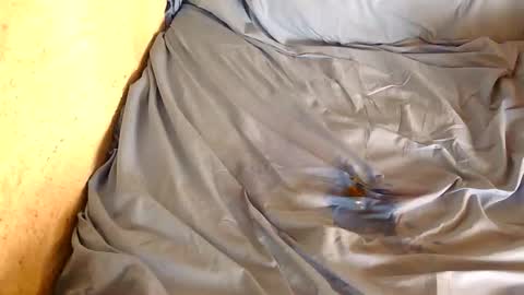 Snapshot of chpoor chatting on 28, 2, 2025 davenz online show from 28, 2, 2025