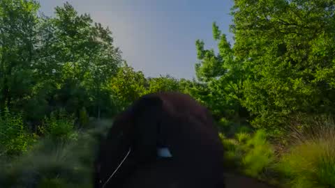 Christian online show from 10, 11, 2025