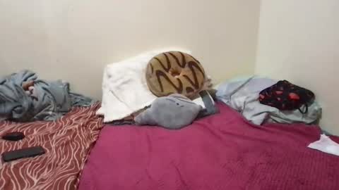 chris_jake1 online show from 14, 3, 2026