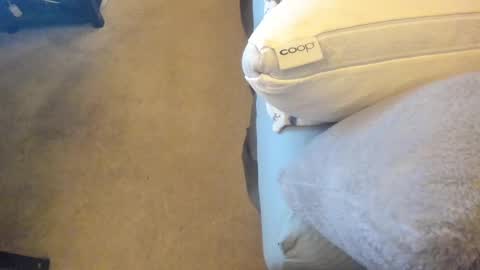 Chris Martinson XXX online show from 27, 2, 2025