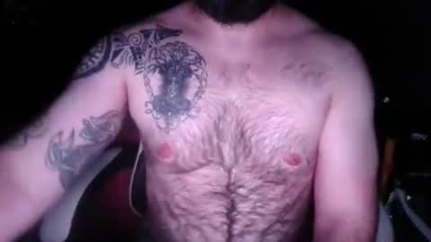 chub bear 99 online show from 29, 4, 2026