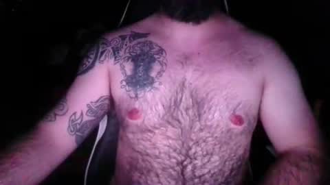 chub bear 99 online show from 7, 5, 2026