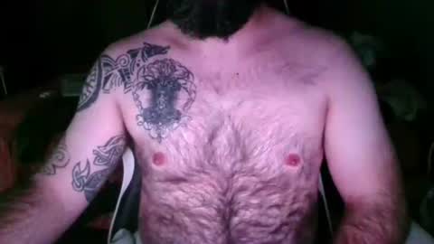 chub bear 99 online show from 10, 5, 2026
