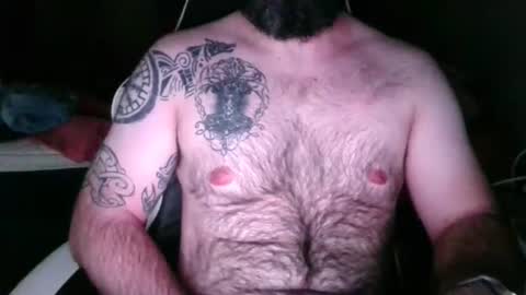 chub bear 99 online show from 16, 5, 2026
