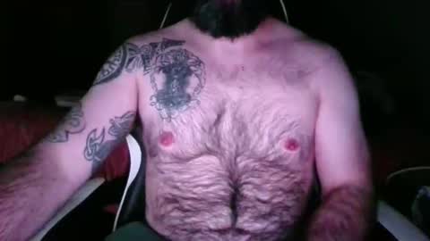 chub bear 99 online show from 17, 5, 2026