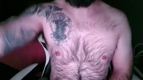 chub bear 99 online show from 23, 5, 2026