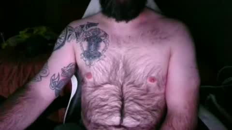 chub bear 99 online show from 24, 5, 2026