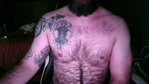 chub bear 99 online show from 25, 5, 2026