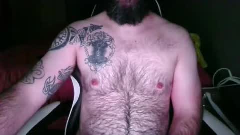 chub bear 99 online show from 26, 5, 2026