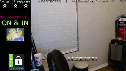 Spencer  Smokey Bear online show from 25, 2, 2025