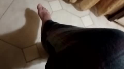 Snapshot of ciccilli chatting on 4, 11, 2025 ciccilli online show from 4, 11, 2025