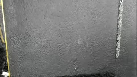 cintyarose online show from 26, 2, 2026